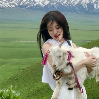 巨星总动员 在线观看
